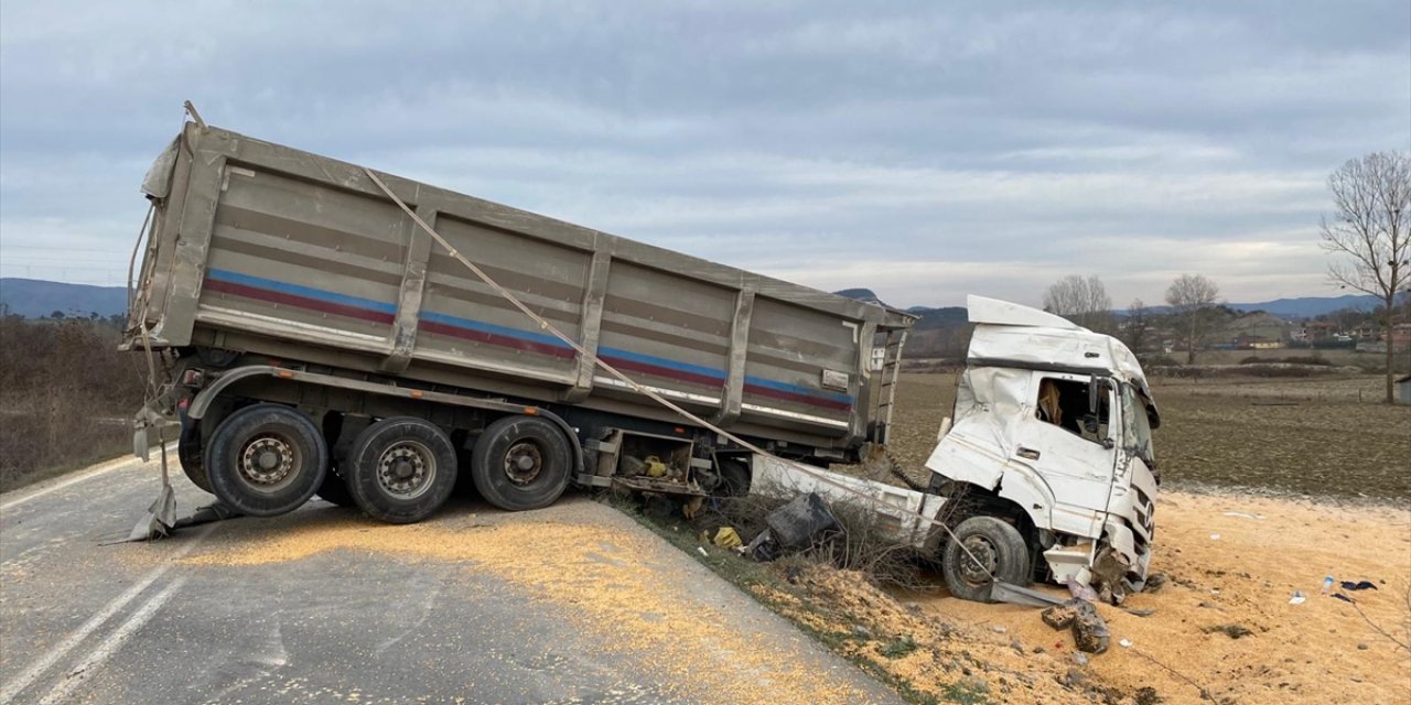 Sakarya'da tarlaya devrilen kamyonun sürücüsü yaralandı