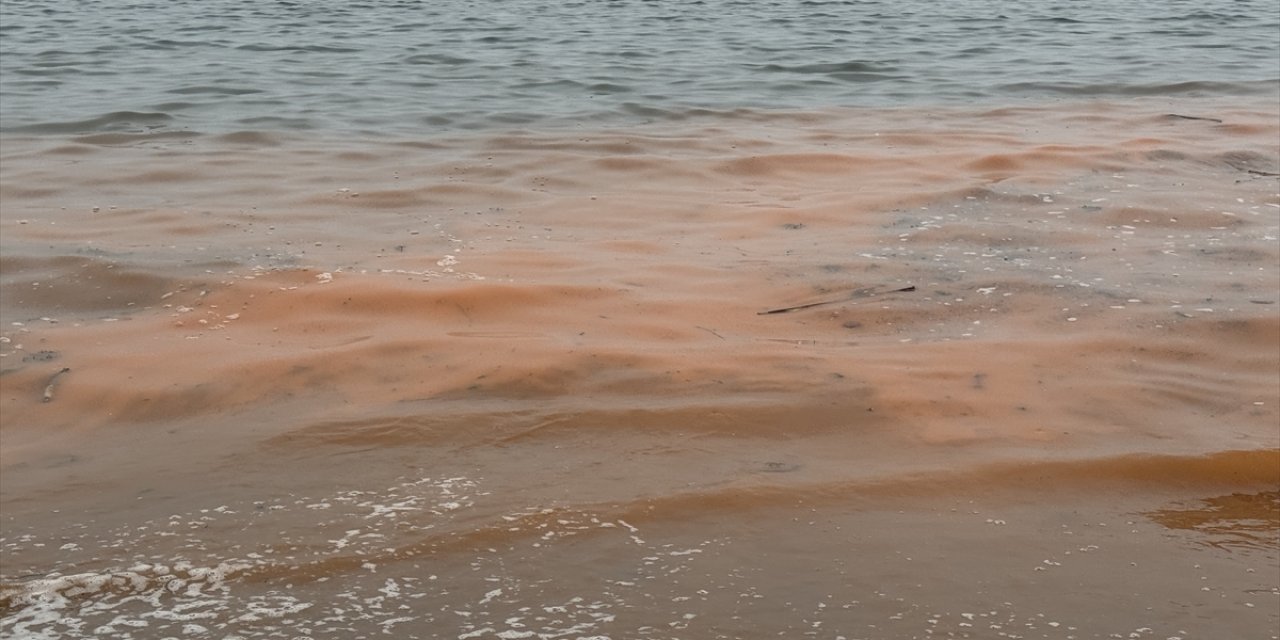 Tekirdağ'da planktonların çoğalmasıyla deniz suyu yer yer renk değiştirdi