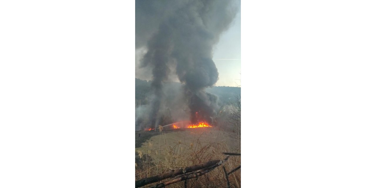 Tokat'ta çıkan örtü yangını söndürüldü