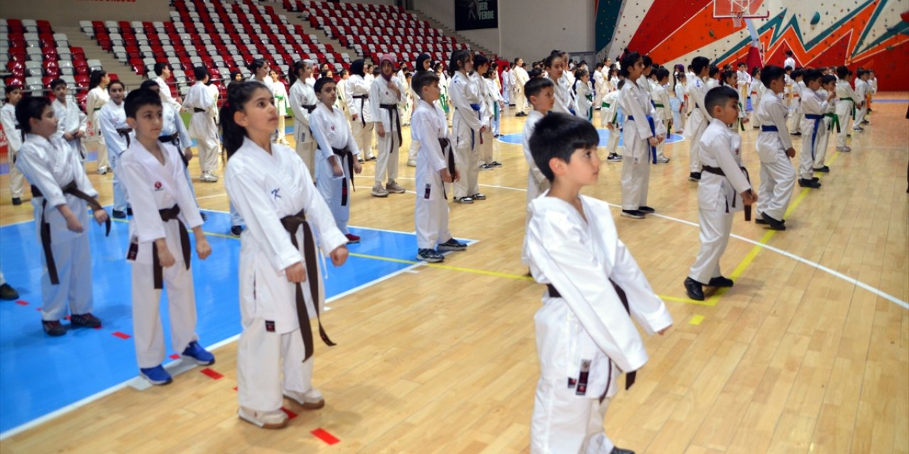 Muş'ta 250 çocuğun "Karate Kuşak Terfi Töreni" düzenlendi