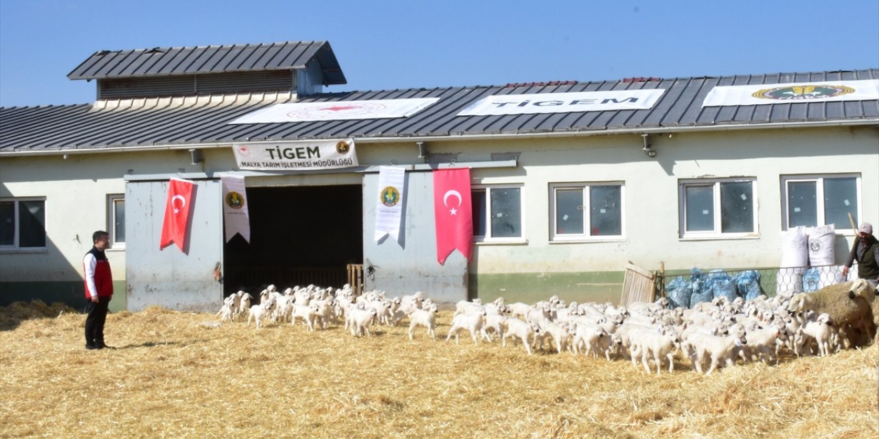 Tarım ve Orman Bakanı Yumaklı, Kırşehir MALYA Tarım İşletmesi Müdürlüğünü ziyaret etti: