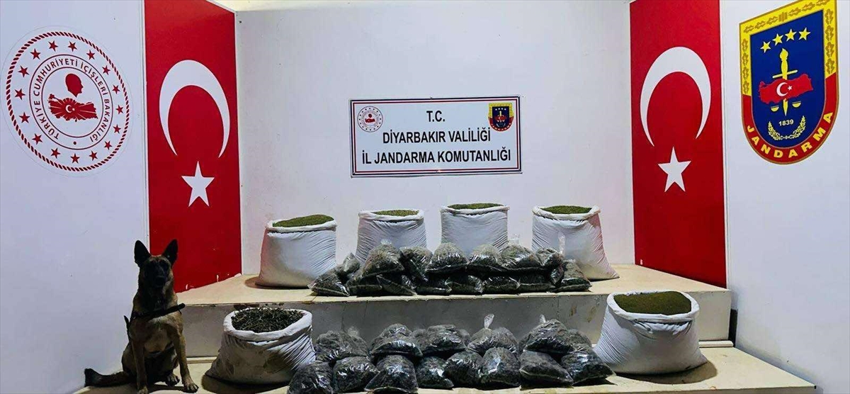 Diyarbakır'da 226 kilogram esrar ele geçirildi