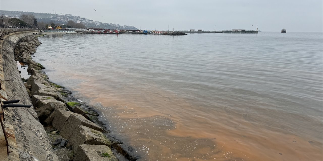 Tekirdağ balıkçı barınağında planktonlar denizin rengini turuncuya çevirdi