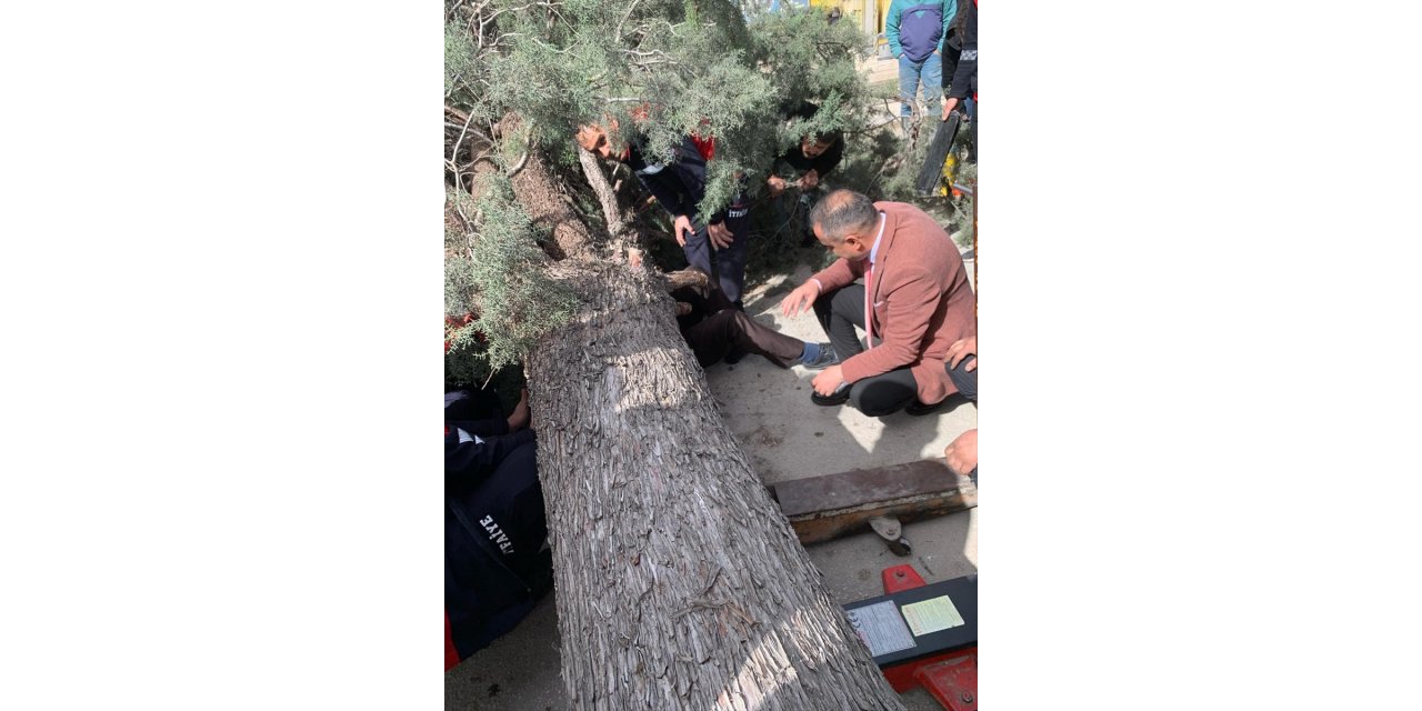 Burdur'da devrilen ağacın altında kalan belediye başkan adayı ve oğlu yaralandı