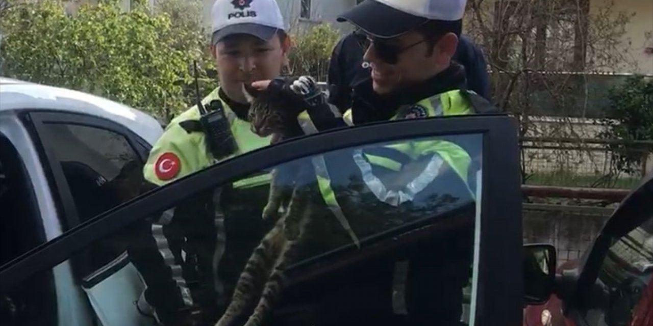 Muğla'da araçta 2 gün mahsur kalan kedi kurtarıldı