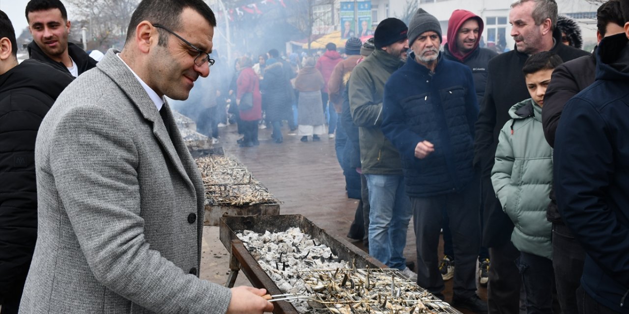 Düzce'de düzenlenen festivalde 3,5 ton hamsi dağıtıldı