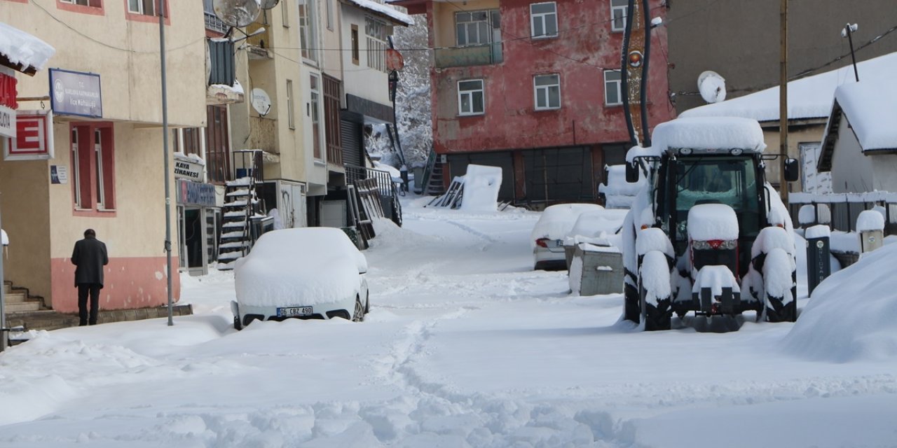 Bingöl ve Elazığ'da kar yağışı