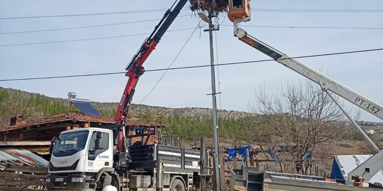 Sinop'ta leylekler için elektrik direklerine yapay yuvalar yerleştirildi