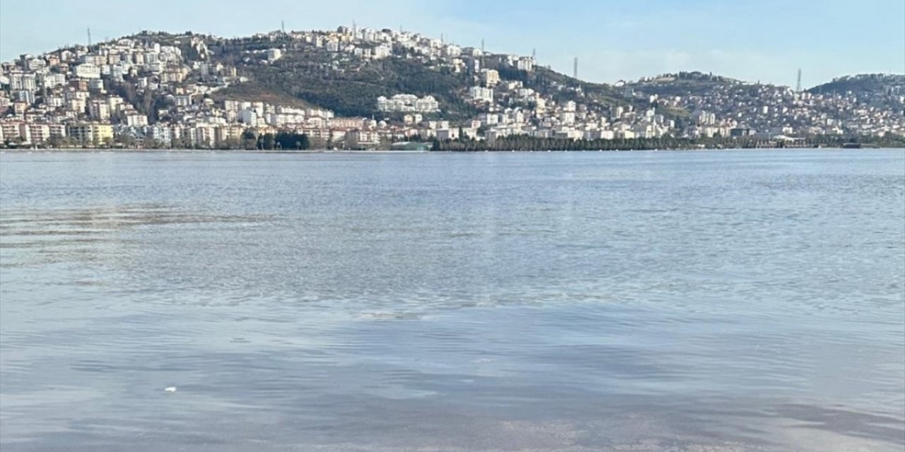 İzmit Körfezi'ndeki renk değişiminin alg çoğalmasından kaynaklandığı belirlendi