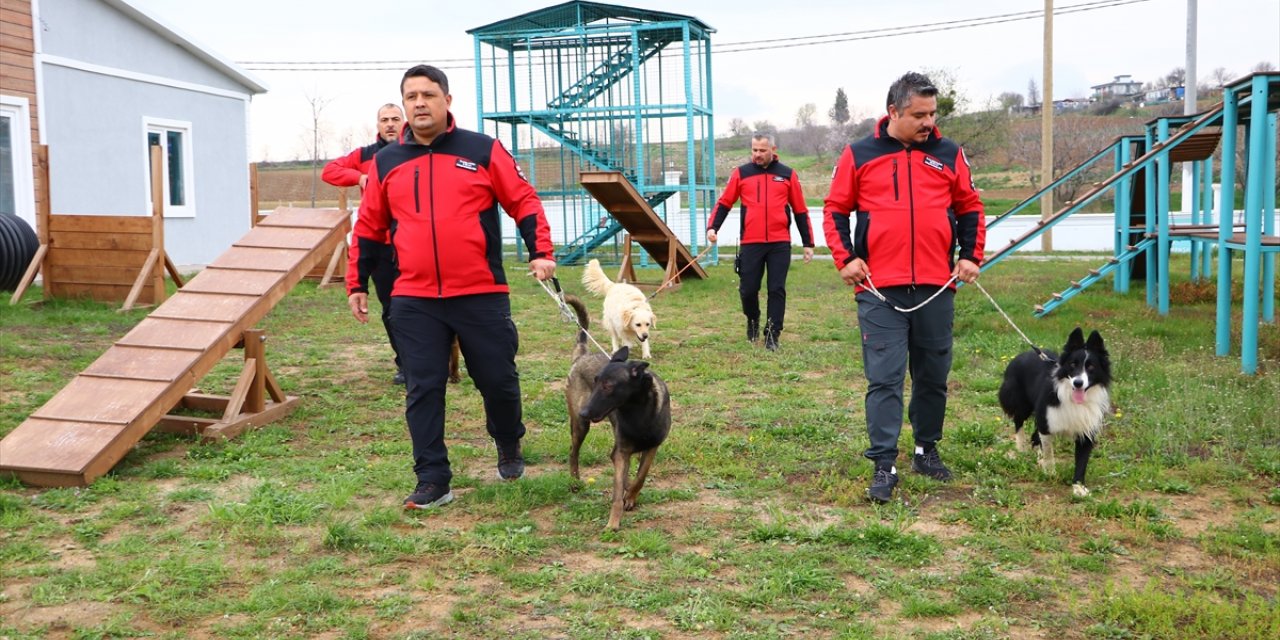 Tekirdağ'da arama kurtarma köpekleri "Paşa", "Badi" ve "Diva" olası afetlere hazırlanıyor