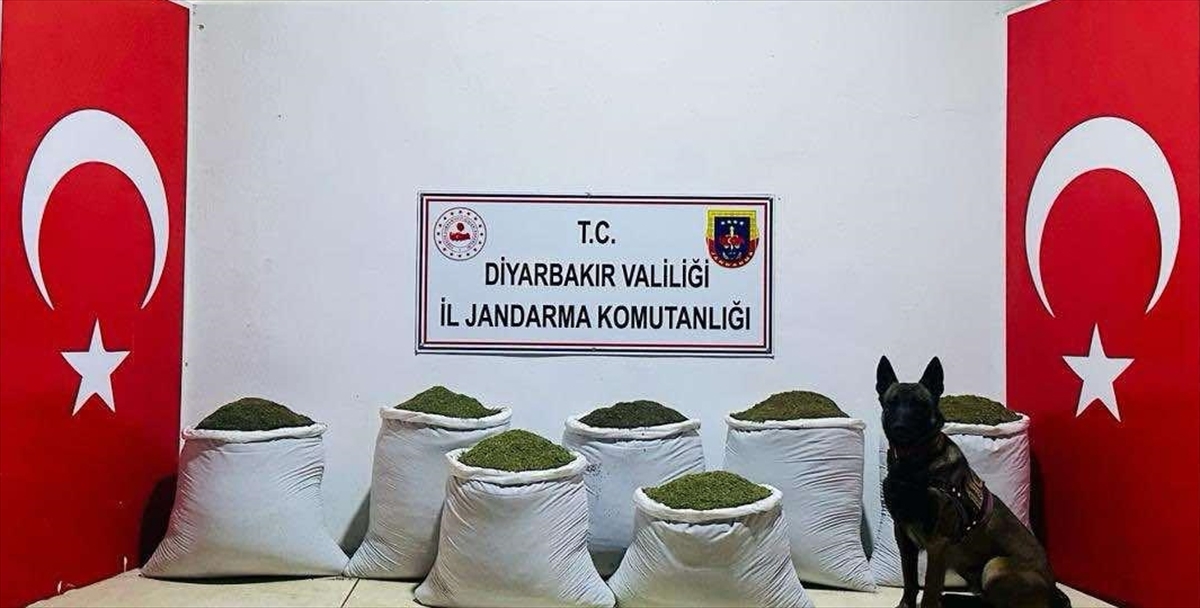 Diyarbakır'da 129 kilogram toz esrar ele geçirildi