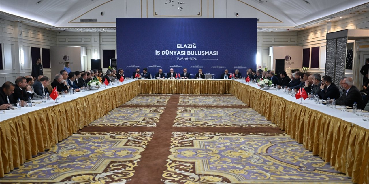 Cumhurbaşkanı Yardımcısı Yılmaz, Elazığ'da iş dünyası temsilcileriyle bir araya geldi: