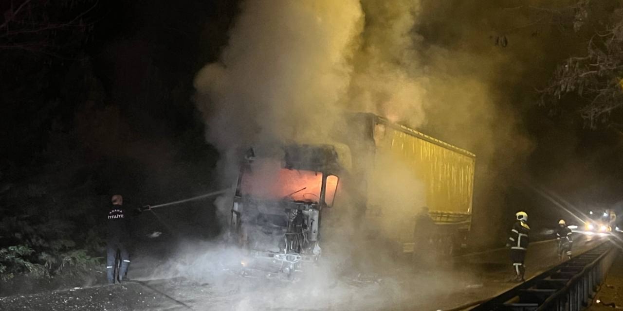 Adana'da kimyasal madde yüklü tırda çıkan yangın söndürüldü