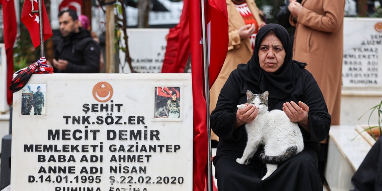 Şehitlikten ayrılmayan kedi, ailelerin teselli kaynağı oldu