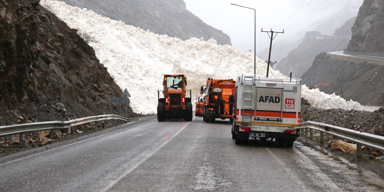 Hakkari-Çukurca kara yolu çığ nedeniyle kapandı