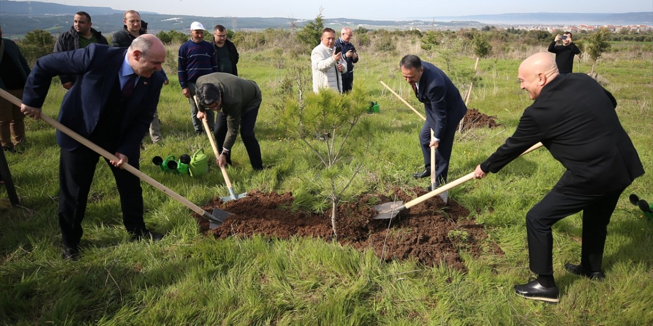 Dardanel, Çanakkale'de 40. yılında hatıra ormanı oluşturdu