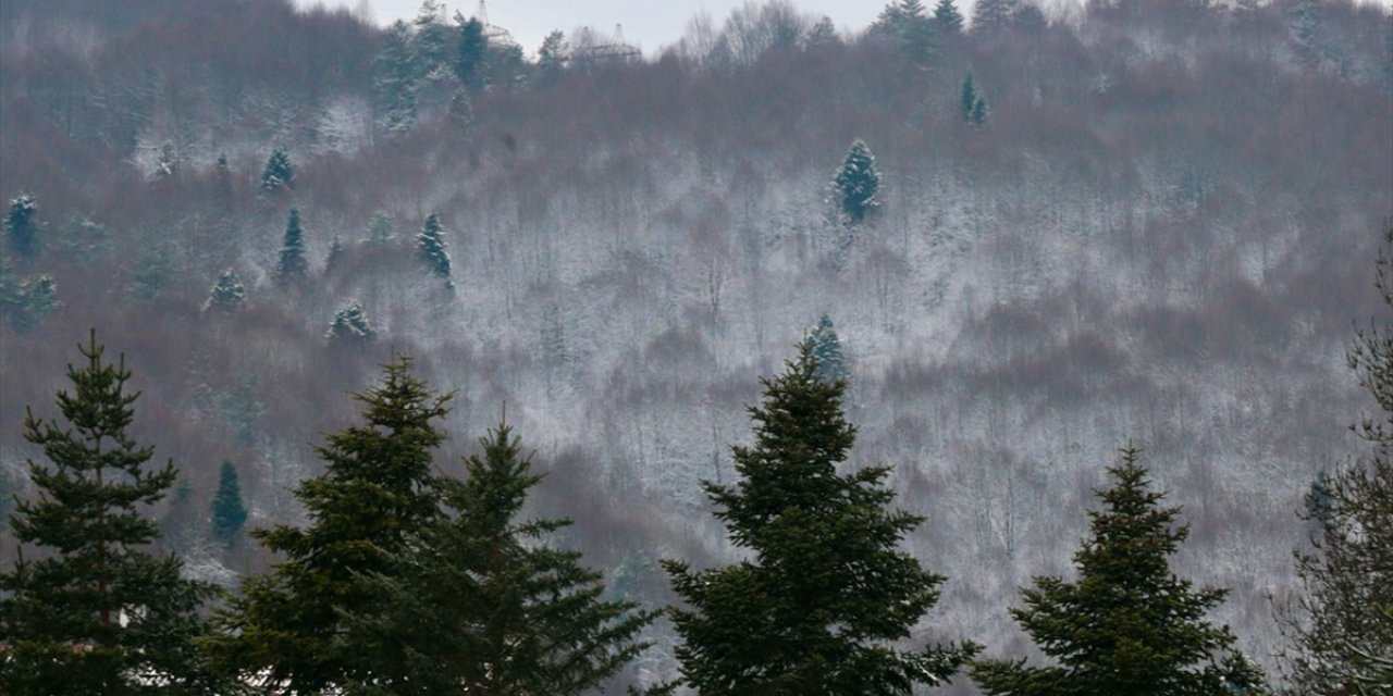 Bolu'nun yüksek kesimleri karla kaplandı