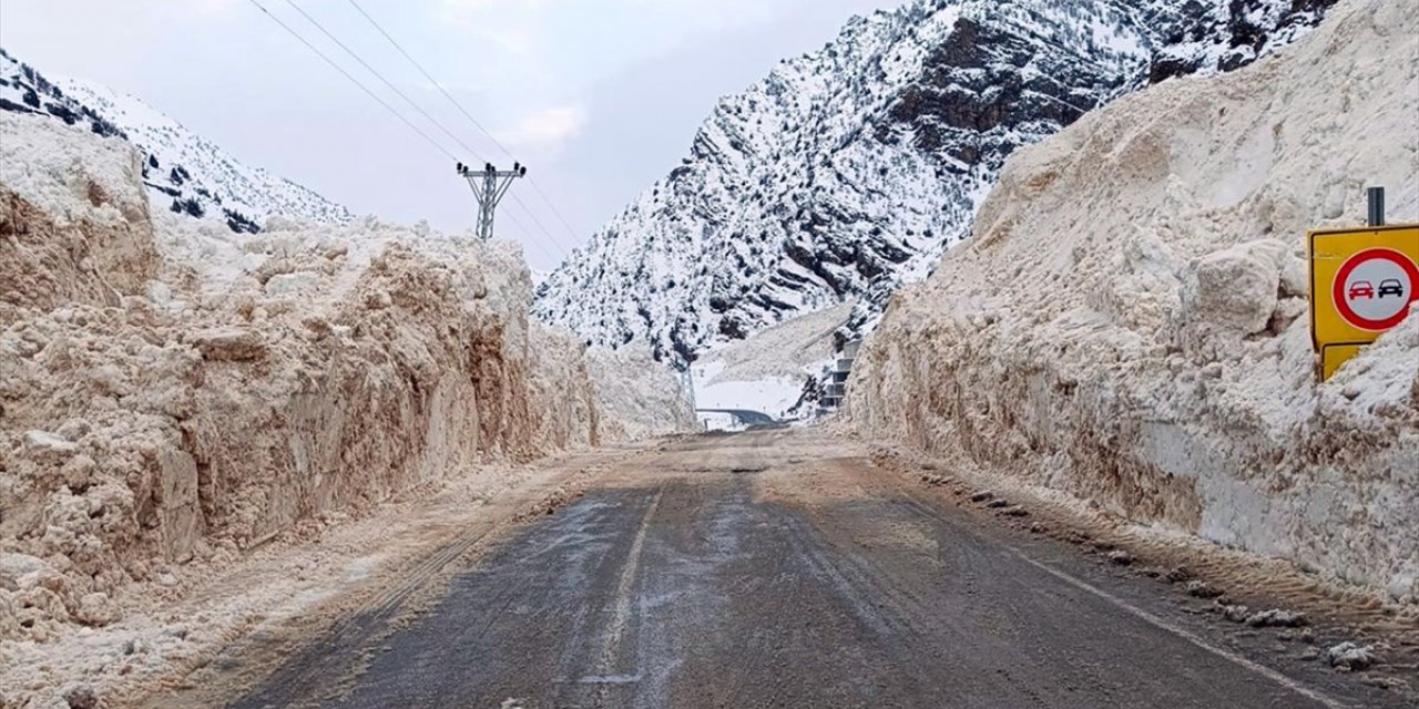 Çığ nedeniyle kapanan Van-Çatak kara yolu açıldı