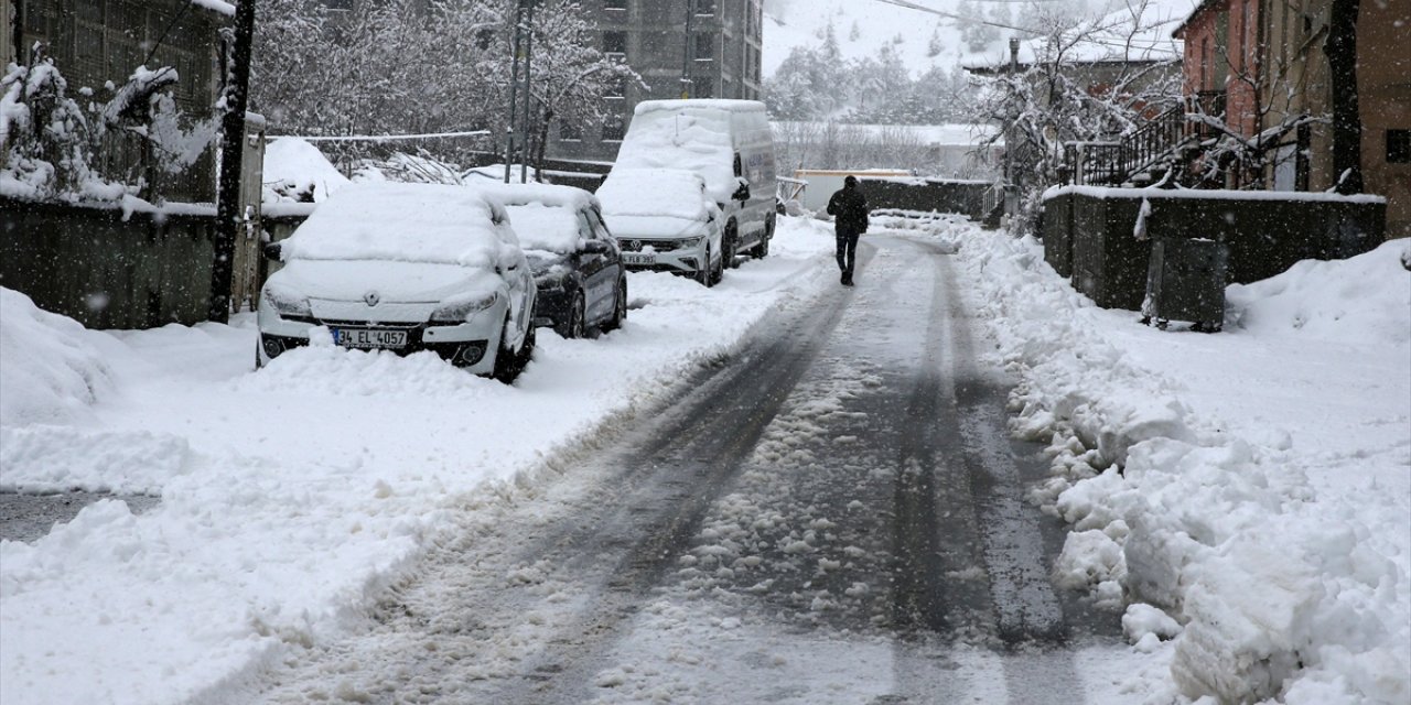 Van, Bitlis, Muş ve Hakkari'de 267 yerleşim yerine ulaşım sağlanamıyor