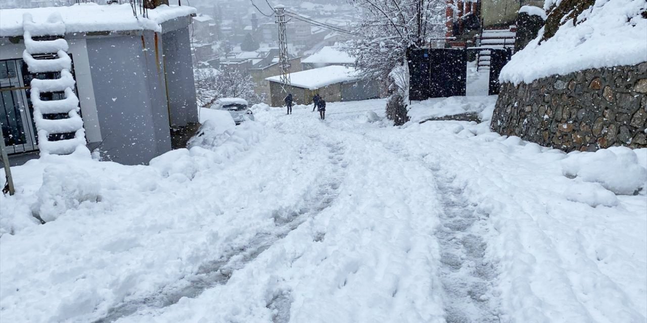 Van, Bitlis, Muş ve Hakkari'de 431 yerleşim yerinin yolu kardan kapandı