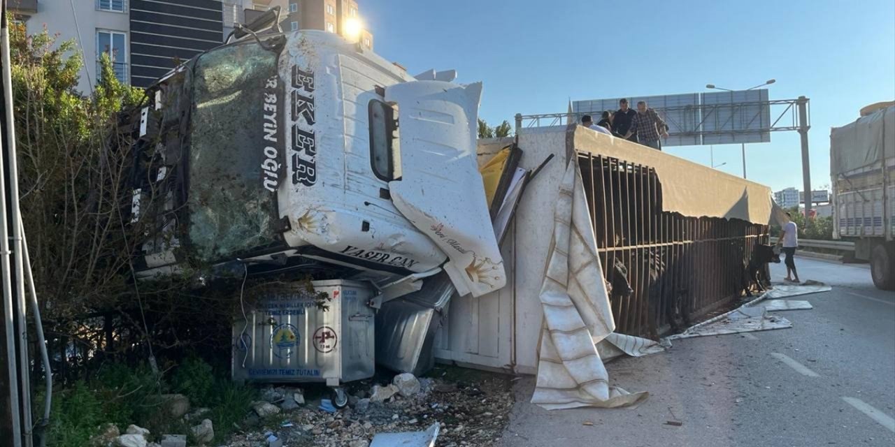 Mersin'de devrilen büyükbaş hayvan yüklü tırın sürücüsü yaralandı