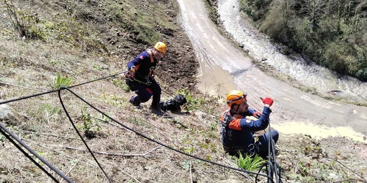 Giresun'da uçurumdan düşerek mahsur kalan köpek kurtarıldı