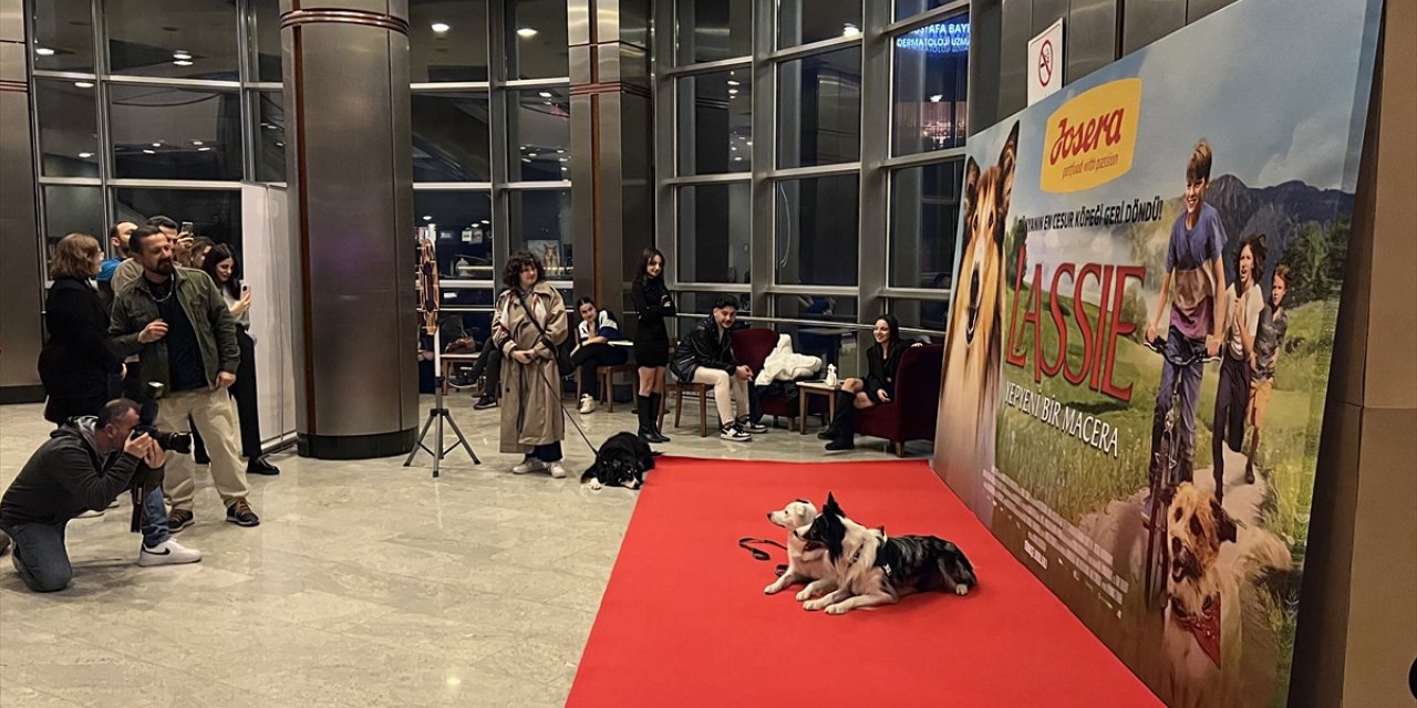 "Lassie: Yepyeni Bir Macera" filminin Türkiye galası CKM'de yapıldı