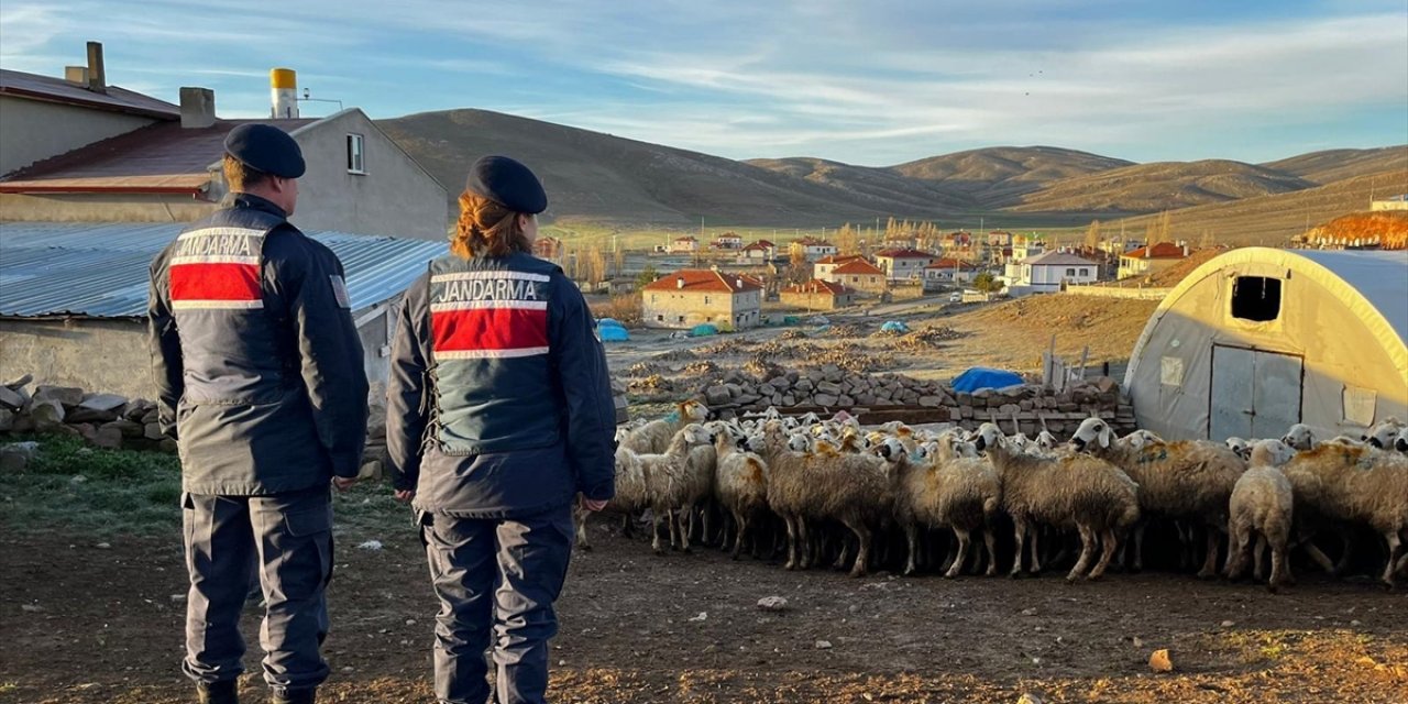 Kayseri'de kaybolan 150 küçükbaş hayvan dron yardımıyla bulundu