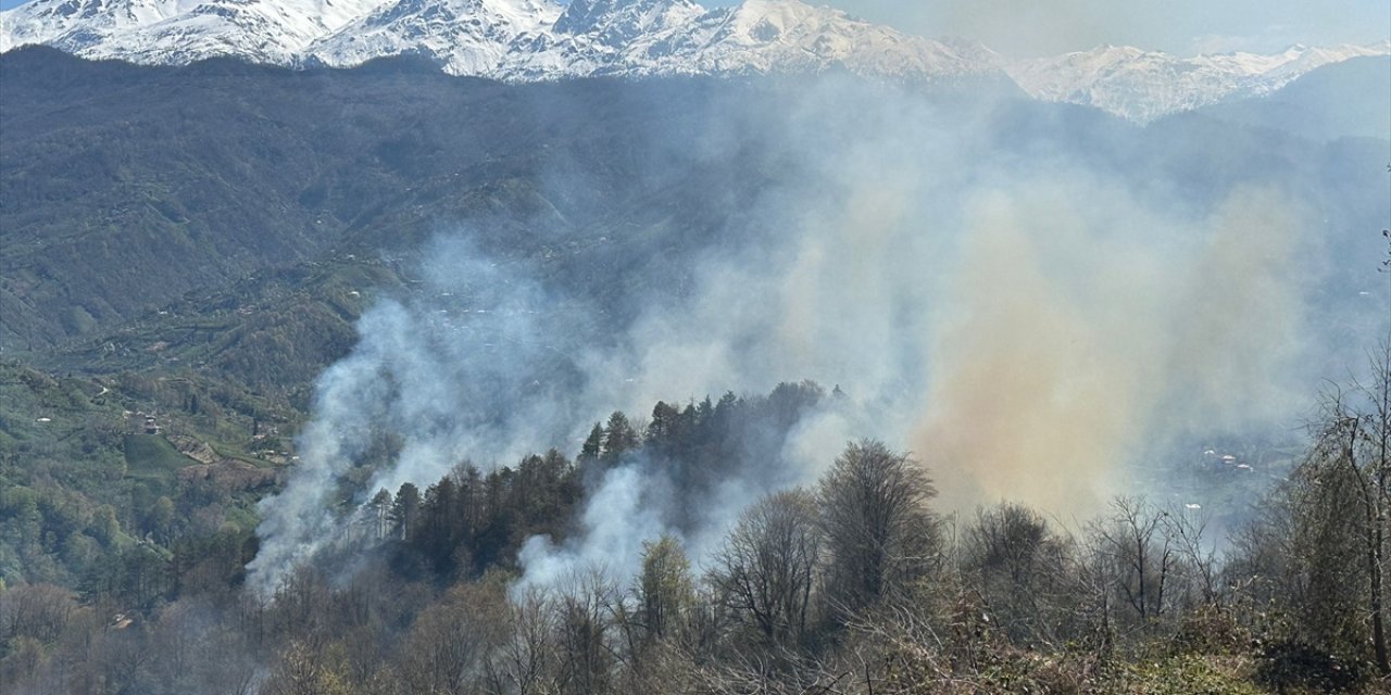 Artvin'de çıkan orman yangını kontrol altına alındı