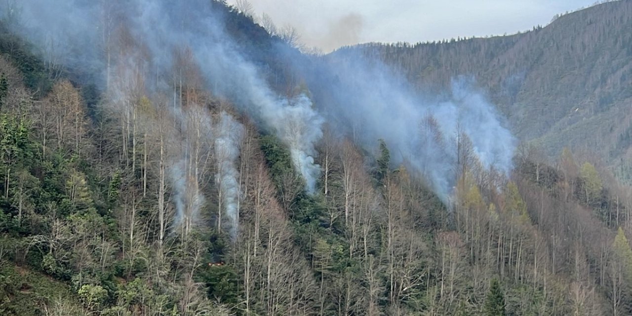 Rize'de çıkan örtü yangınına müdahale ediliyor