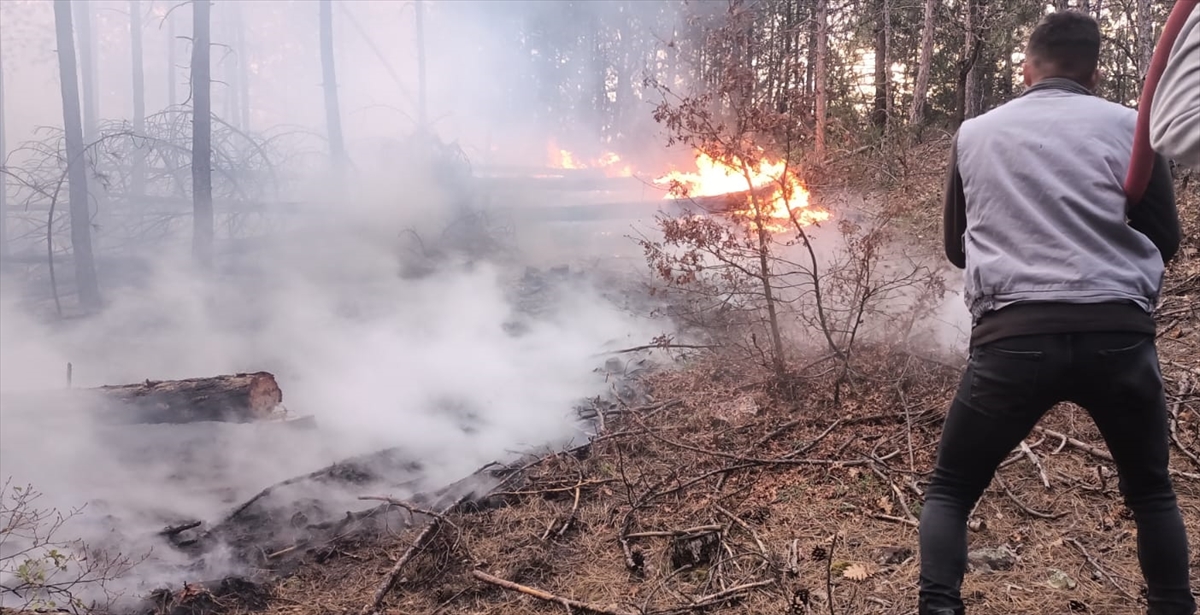GÜNCELLEME - Kütahya'daki orman yangını kontrol altına alındı