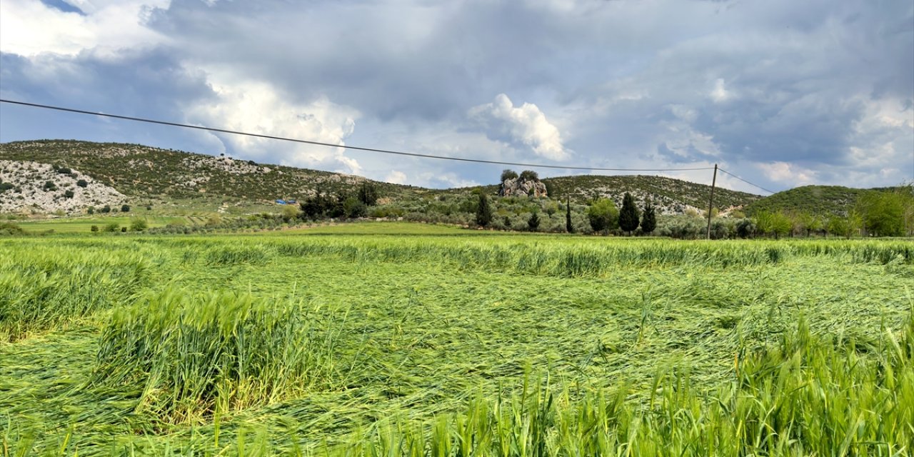 Osmaniye'de sağanak ve dolu, tarım arazilerine zarar verdi