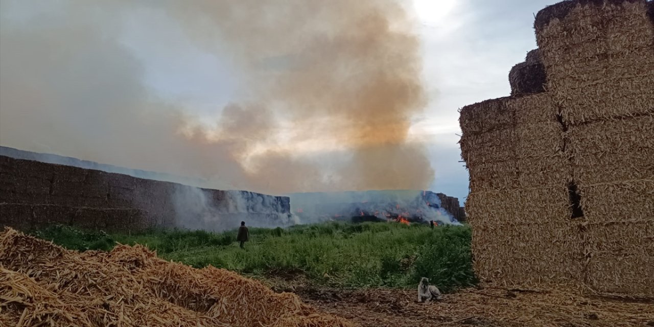 Adana'daki saman balyası yangını söndürüldü