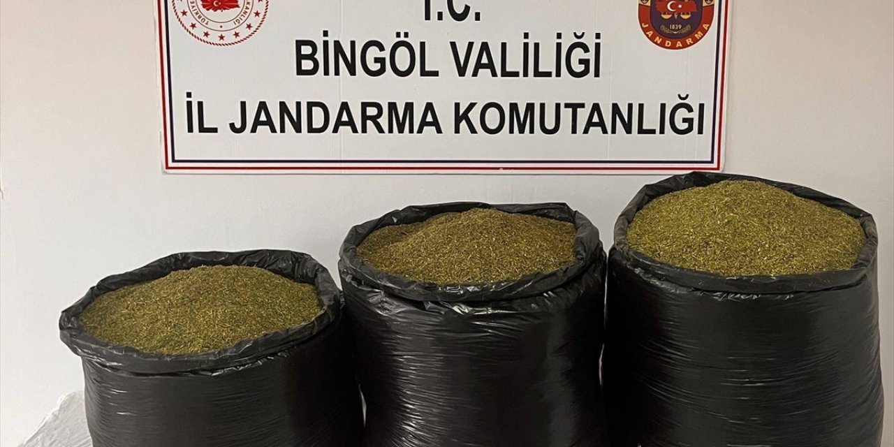 Bingöl'de 53 kilo 500 gram esrar ele geçirildi