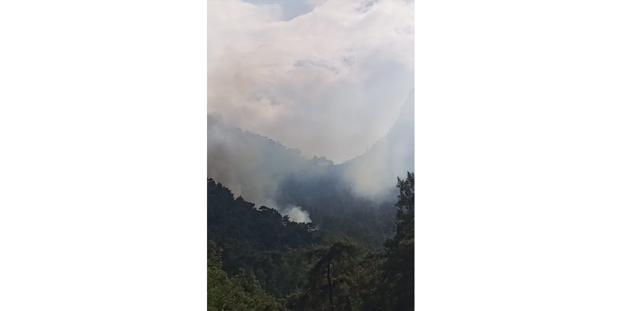 Antalya'da ormanlık alanda çıkan yangına müdahale ediliyor