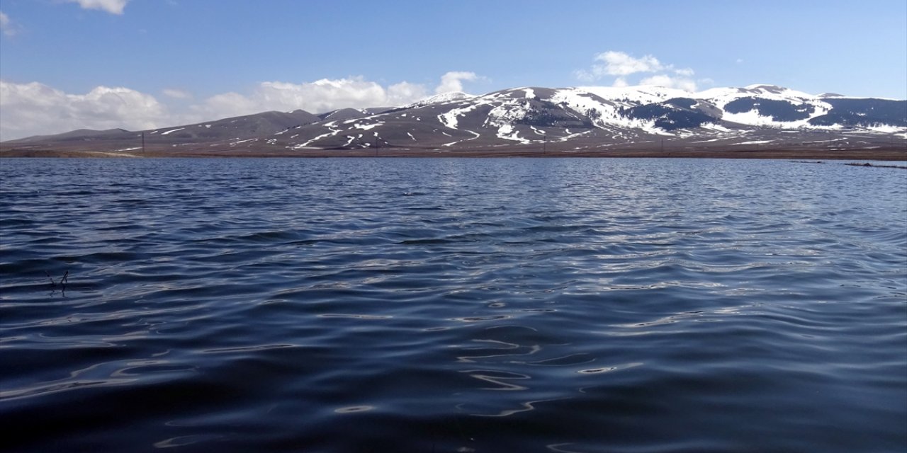 Kars'ın kar sularıyla canlanan eşsiz doğasında ilkbahar güzelliği