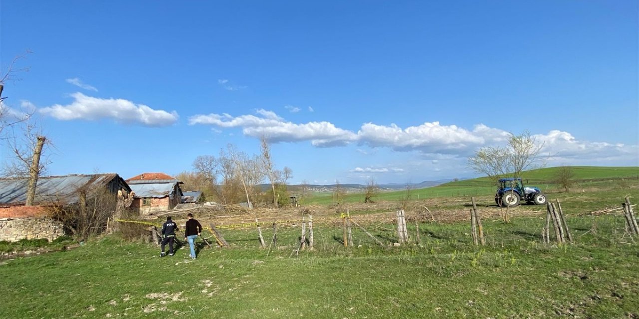 Karabük'te kestiği ağacın altında kalan kişi öldü