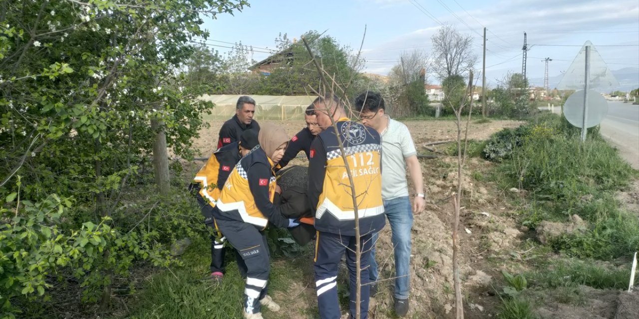 Tokat'ta ağaca çarpan hafif ticari araçtaki 3 kişi yaralandı