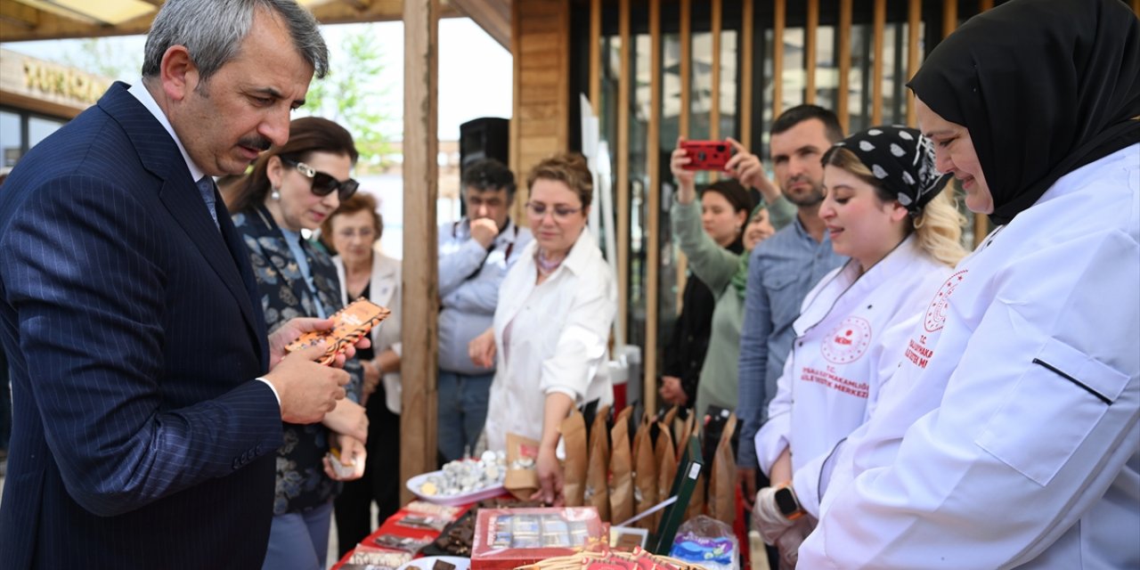 Edirne Valisi Sezer kentin turizm potansiyelinin yüzde 10'unun kullanıldığını belirtti: