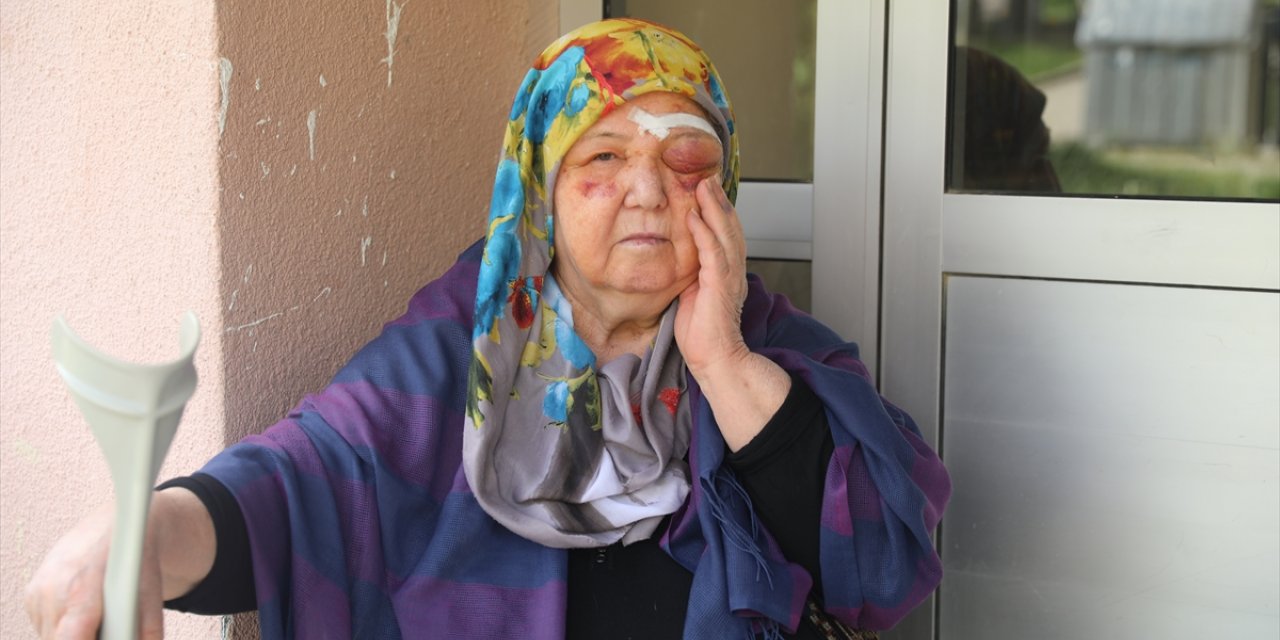 Edirne'de sahipsiz köpeklerden kaçarken düşen yaşlı kadın yaralandı