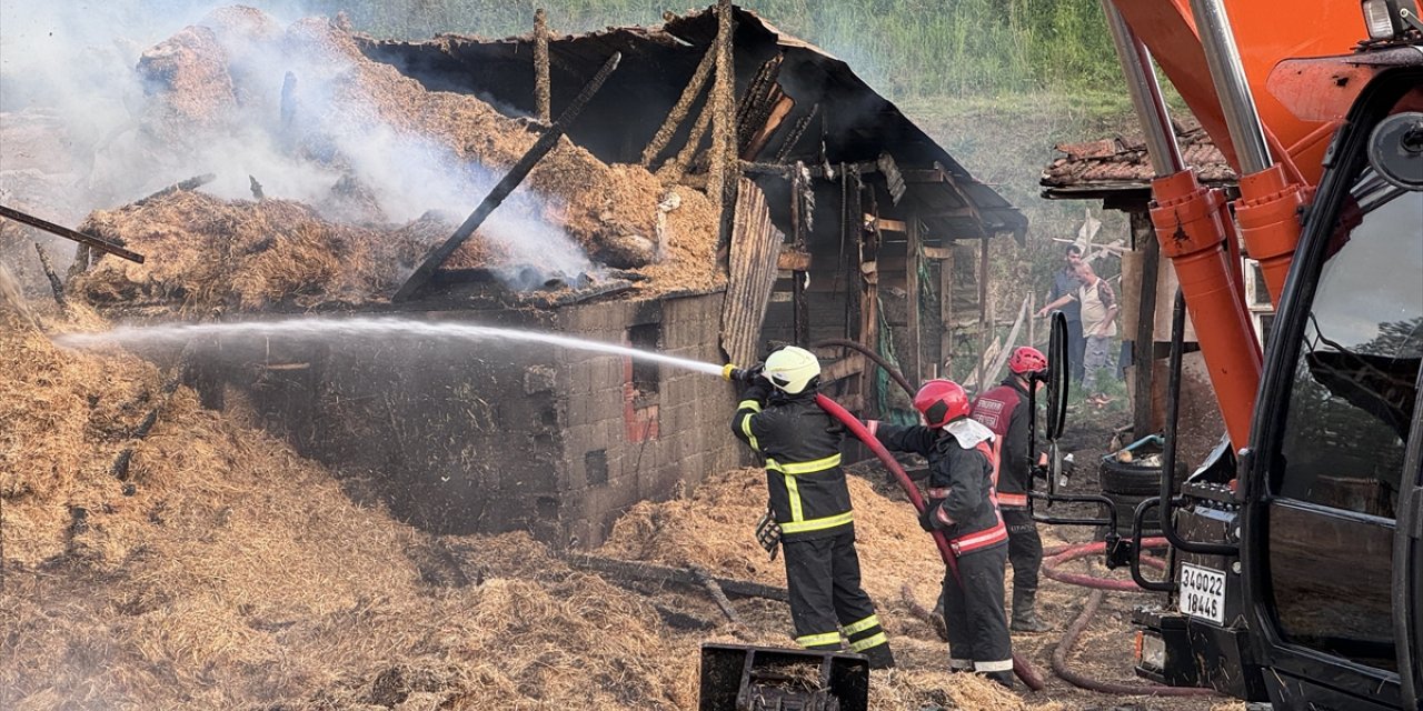 GÜNCELLEME - Sakarya'da çiftlikte çıkan yangında 1 kişi dumandan etkilendi