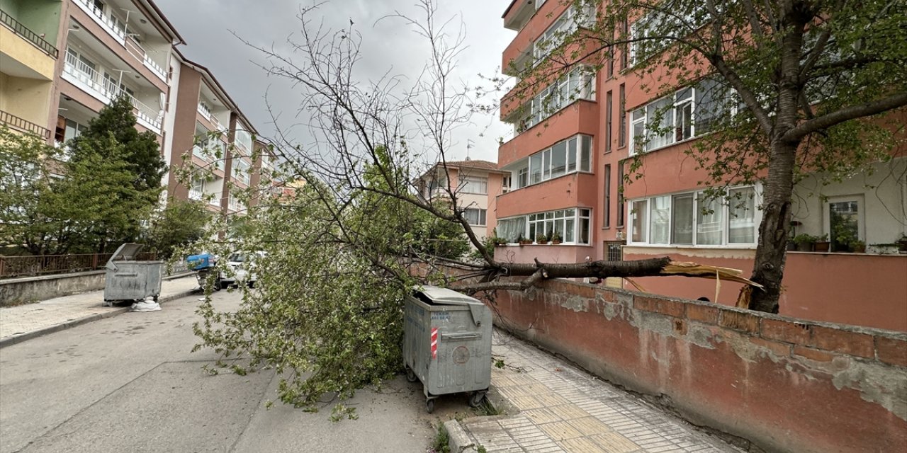 Çorum'da kuvvetli rüzgar nedeniyle binaların çatısı uçtu, ağaçlar devrildi