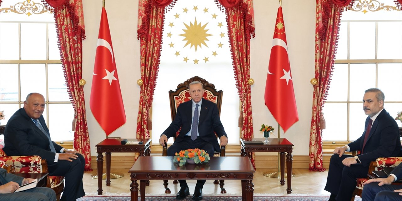 Cumhurbaşkanı Erdoğan, Mısır Dışişleri Bakanı Samih Şukri'yi kabul etti
