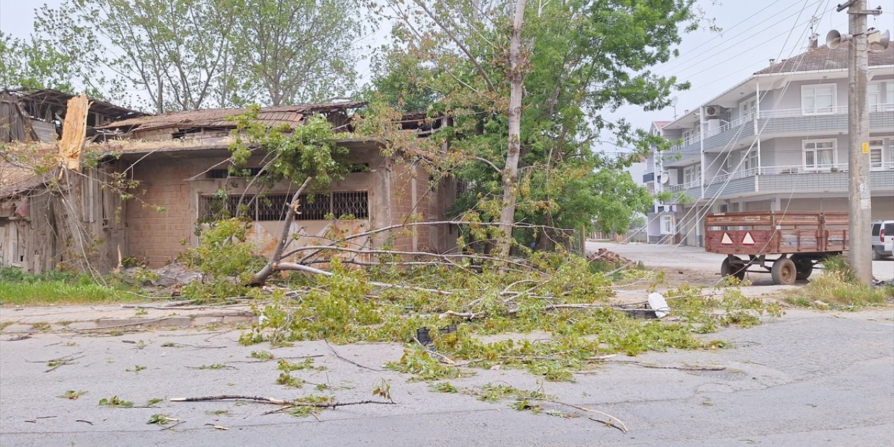 Samsun'da kuvvetli rüzgar bir çatıyı uçurdu, ağaçları devirip elektrik tellerini kopardı