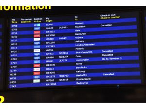 İskandinav Hava Yolları 205 seferini iptal etti