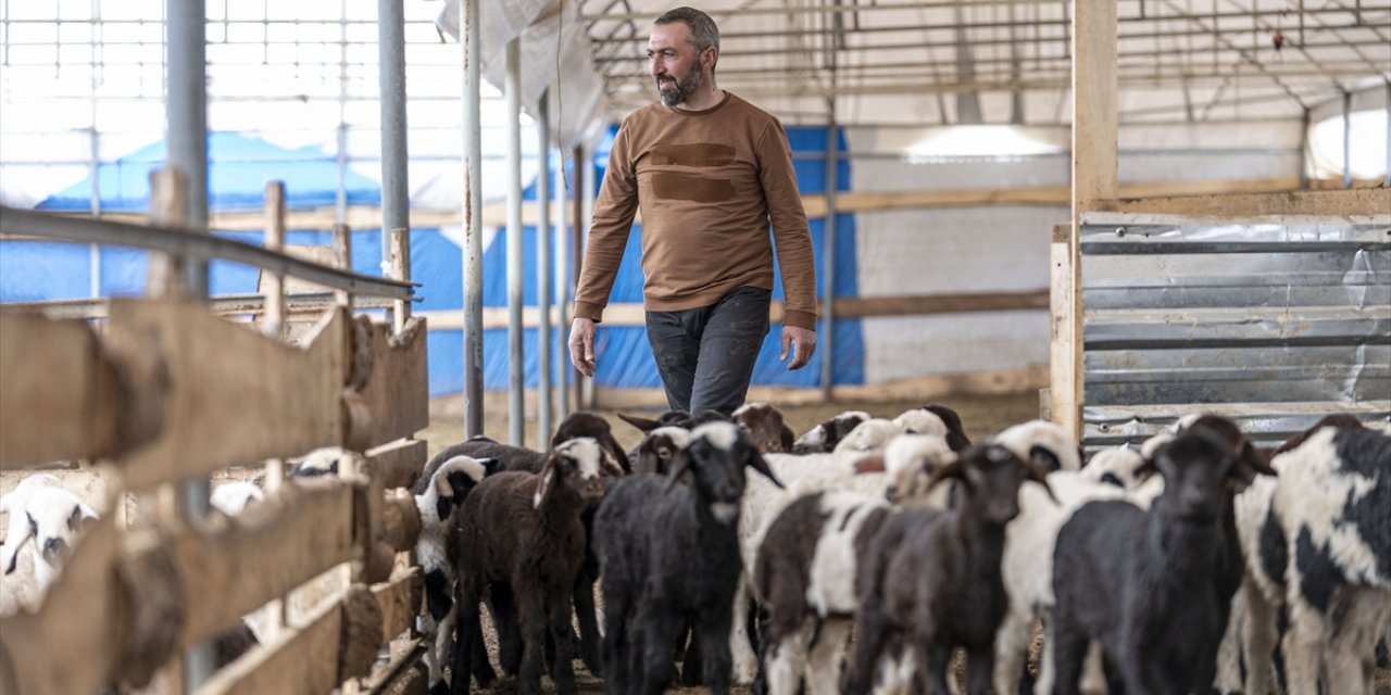 Köye dönüşlerin başladığı Erzurum'un kırsalında hayvancılık artıyor