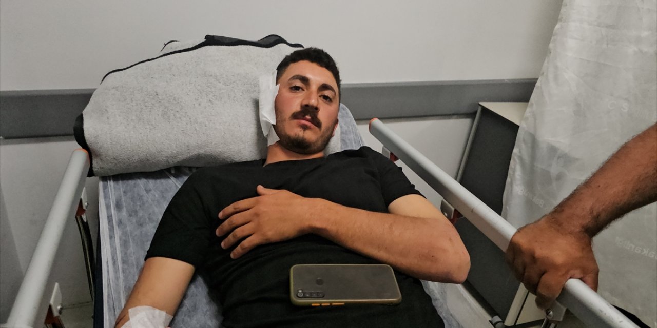 Erzincan'da mantar toplarken ayının saldırısına uğrayan kişi yaralandı
