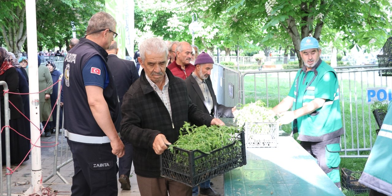 Kayseri'de Kocasinan Belediyesi 550 bin organik domates fidesi dağıttı