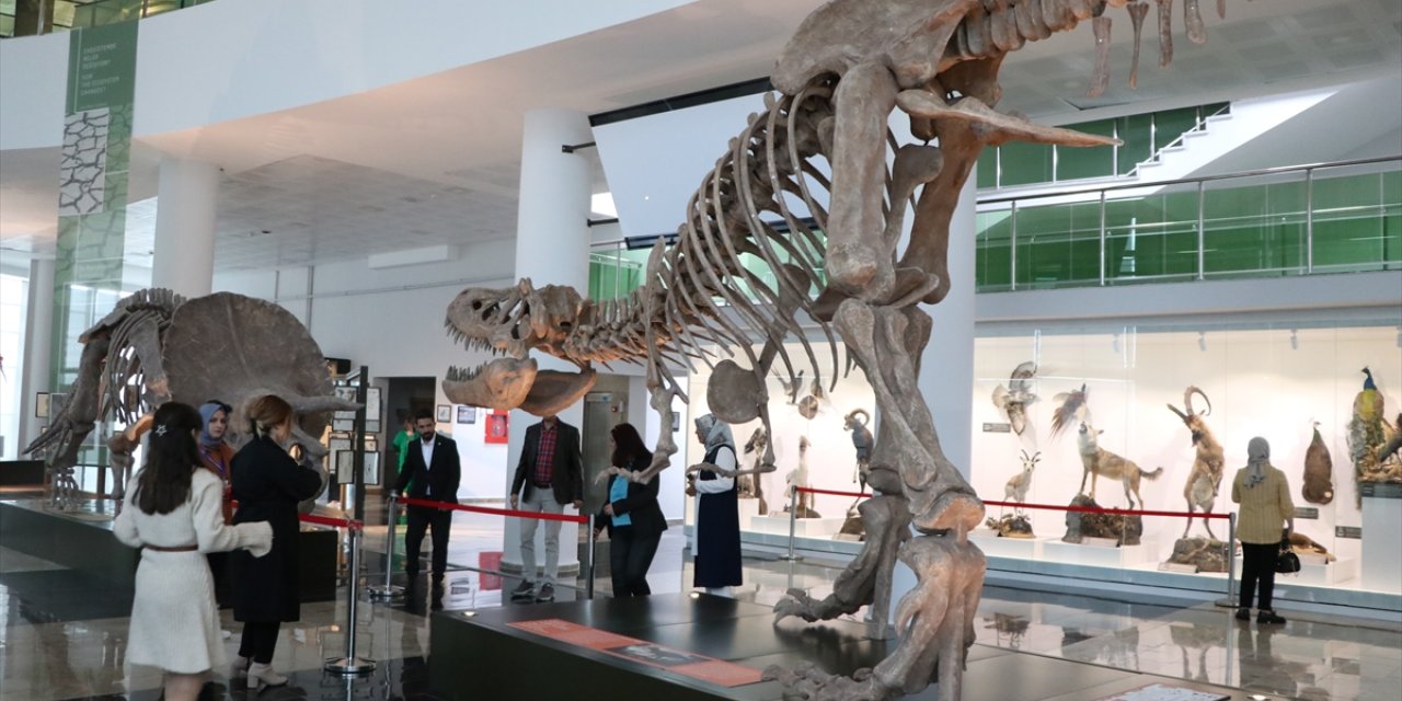 Milyonlarca yıllık fosillerin sergilendiği Biyoçeşitlilik Bilim Müzesi açılışa hazırlanıyor