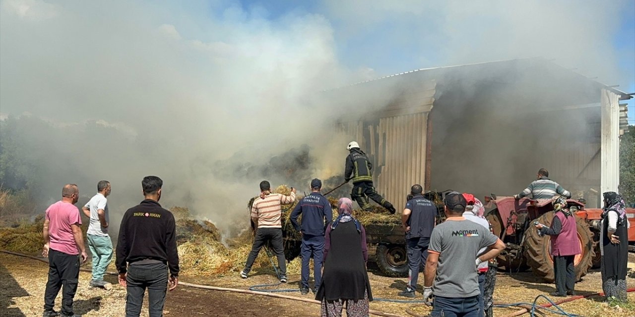 Antalya'da besihanede çıkan yangın hasara neden oldu